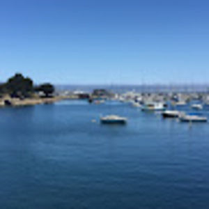 Meet your Posher, Dolores